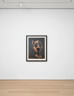 Pablo Picasso - Jacqueline au Bandeau