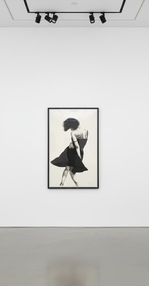 Robert Longo - Meryl