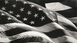 Robert Longo - Untitled (Flag - Large)