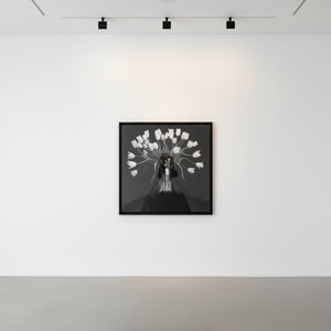 Robert Mapplethorpe - Tulips