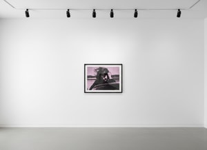 Russell Young - Jackie Strawberry Pink