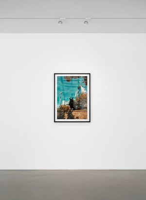 Sebastian Magnani - Daily Bat – Big Brother Is Watching You