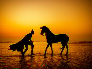 Sebastian Magnani - Daily Bat - Wild Spirits