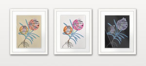 Jonas Wood - Double Basketball Orchid 2 (set of three)