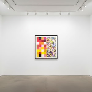 Takashi Murakami - Acupuncture/Flowers – Checkers