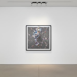 Takashi Murakami - DOB Myxomycete