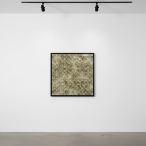 Takashi Murakami - LV Monogramouflage Light