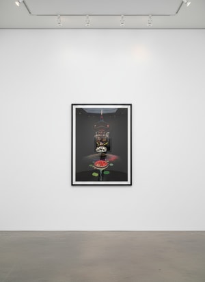 Takashi Murakami - Reversed Double Helix (brown body)