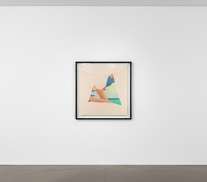 Tom Wesselmann - Seascape Dropout