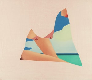 Tom Wesselmann - Seascape Dropout