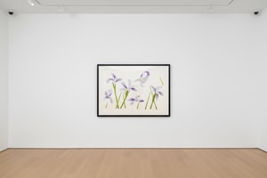 Alex Katz - Blue Flags