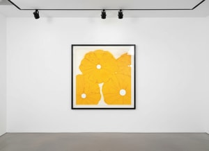 Donald Sultan - Four Yellow Poppies April 24