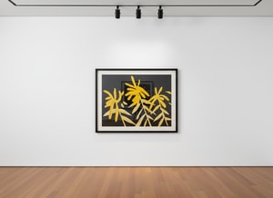 Alex Katz - Goldenrod