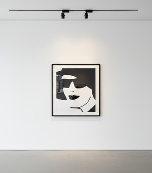 Alex Katz - Porcelain Beauty 2