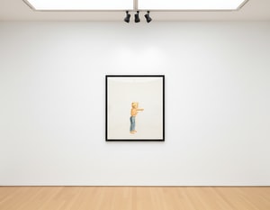 Alex Katz - Study for Summer 1