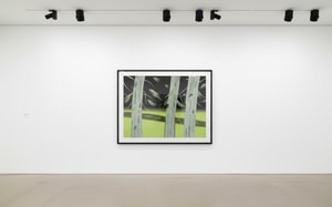 Alex Katz - Three Trees