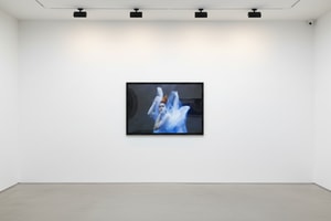 Tyler Shields - Amphirite