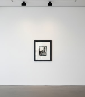 Tyler Shields - Bunnies in 58