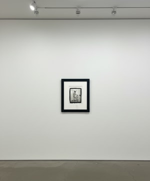 Tyler Shields - Bunny in the Kitchen