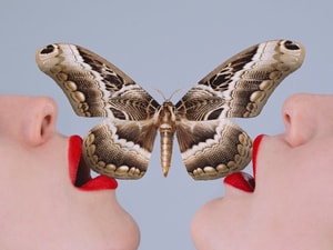 Tyler Shields - Butterfly