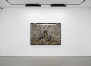 Tyler Shields - Cheetah Legs