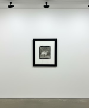 Tyler Shields - Dancing With Myself