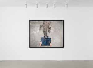 Tyler Shields - Gator Birkin II