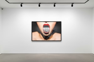 Tyler Shields - Glitter Mouth