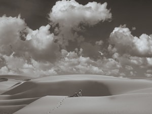 Tyler Shields - Lioness