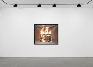 Tyler Shields - Louis Vuitton Trunk on Fire