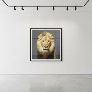 Tyler Shields - Luke