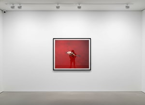 Tyler Shields - Mask