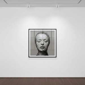 Tyler Shields - Nets