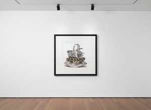 Tyler Shields - Python Birkin