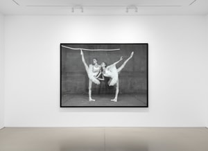 Tyler Shields - Swans