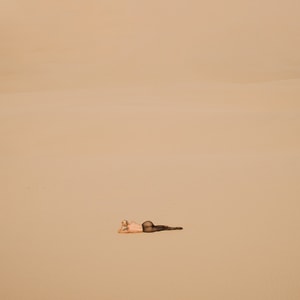 Tyler Shields - The Girl in the Desert