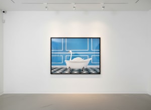 Tyler Shields - The Swan