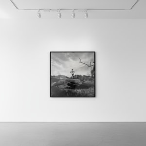 Tyler Shields - The Tree Trunk