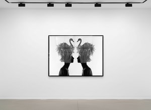 Tyler Shields - The Two Swans