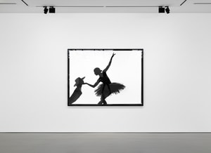 Tyler Shields - Touch Silhouette