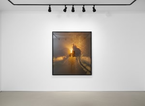 Tyler Shields - Underwater Kiss