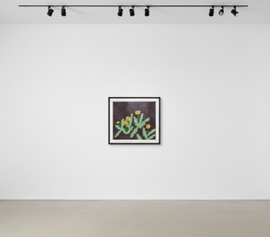 Yayoi Kusama - Dandelions