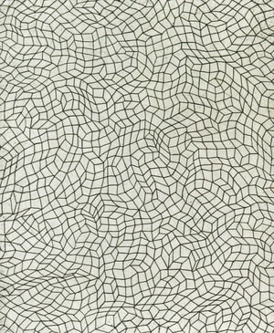 Yayoi Kusama - Infinity Net (Black Net)