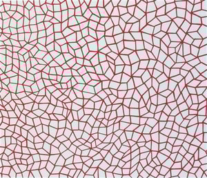 Yayoi Kusama - Infinity Nets (76)