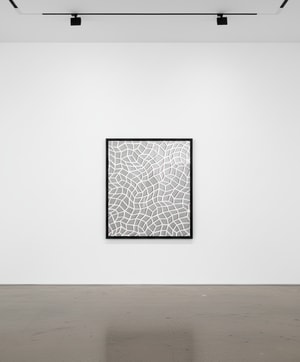 Yayoi Kusama - Infinity Nets