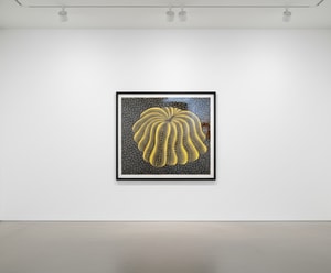 Yayoi Kusama - Napping Pumpkin