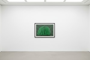 Yayoi Kusama - Pumpkin (G)