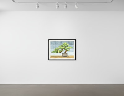 Adam Lister - Bonsai No. 3, 2024