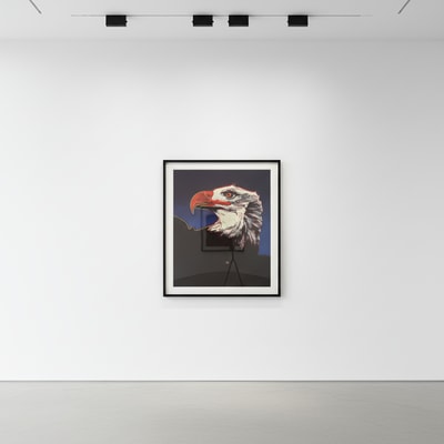 Andy Warhol F.S. II 296