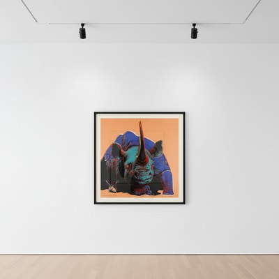 Andy Warhol F.S. II 301